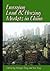 Emerging Land and Housing Markets in China