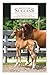 Breed For Success: The Horseman's Guide To Producing Healthy Foals