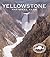 Yellowstone National Park by David Dunbar