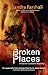 Broken Places (Rachel Goddard Mystery #3)