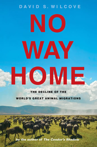 No Way Home: The Decline of the World's Great Animal Migrations (Hardcover)