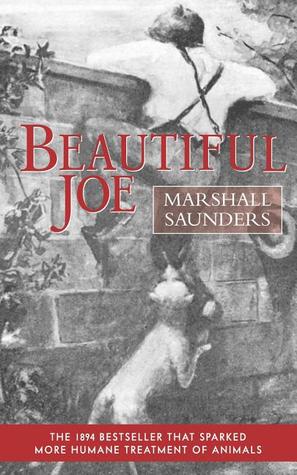 Beautiful Joe (Paperback) (Applewood Books)