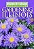 Month-By-Month Gardening in Illinois: What to Do Each Month to Have a Beautiful Garden All Year
