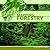 Mapping Forestry