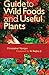 Guide to Wild Foods and Useful Plants by Christopher Nyerges