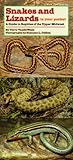 Snakes and Lizards in Your Pocket: A Guide to Reptiles of the Upper Midwest (Bur Oak Guide)