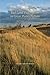 Bad Land Pastoralism in Great Plains Fiction (American Land & Life)