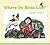 Where Do Birds Live? (Bur Oak Book)