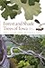 Forest and Shade Trees of Iowa by Peter J. Van Der Linden