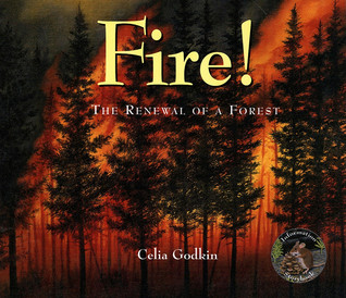 Fire!: The Renewal of a Forest (Information Storybooks)