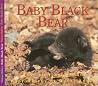 Baby Black Bear (Nature Babies) Baby Black Bear (Nature Babies)