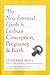 New Essential Guide to Lesbian Conception, Pregnancy, & Birth by Stephanie A. Brill New Essential Guide to Lesbian Conception, Pregnancy, & Birth by Stephanie A. Brill