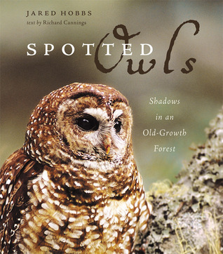 Spotted Owls: Shadows in an Old-Growth Forest