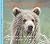 Baby Grizzly (Nature Babies)