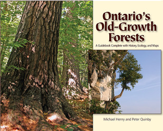 Ontario's Old Growth Forests (Paperback)