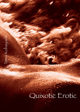 Quixotic Erotic (Paperback)