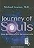 Journey of Souls by Michael   Newton