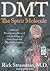 DMT: The Spirit Molecule: A Doctor's Revolutionary Research into the Biology of Near-Death and Mystical Experiences