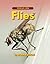 Focus on Flies