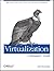 Virtualization: A Manager's Guide: Big Picture of the Who, What, and Where of Virtualization