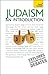 Judaism - An Introduction (Teach Yourself)