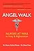 Angel Walk: Nurses at War in Iraq and Afghanistan