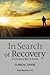 In Search of Recovery, Clinical Guide: A Christian Man's Guide