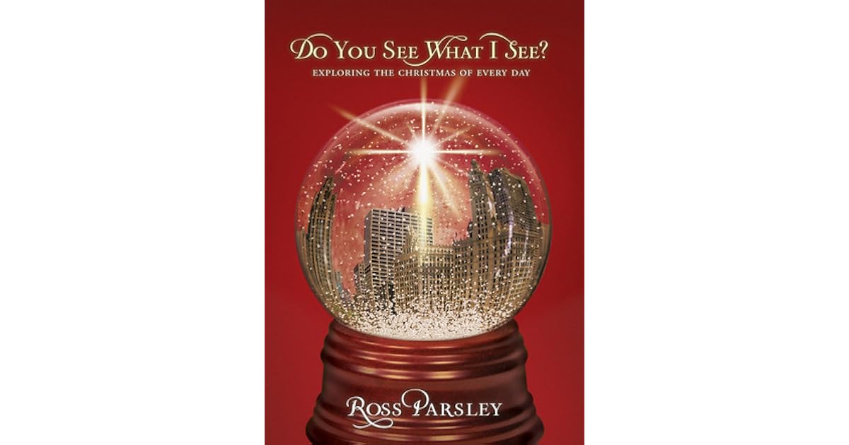 Do You See What I See? Exploring the Christmas of Every Day by Ross