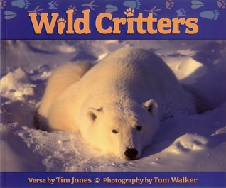 Wild Critters (Paperback)