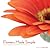 Flowers Made Simple: How to Arrange Flowers Just for the Fun of It