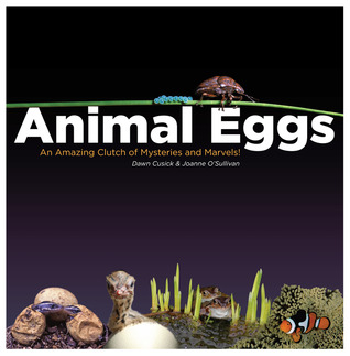 Animal Eggs: An Amazing Clutch of Mysteries and Marvels