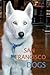 San Francisco Dogs: First Edition