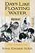 Days Like Floating Water: A Story of Modern China