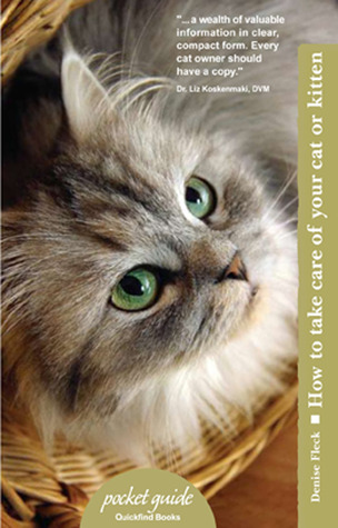 How to Take Care of Your Cat or Kitten