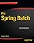 Pro Spring Batch (Expert's Voice in Spring)