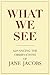 What We See by Stephen A. Goldsmith