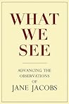 What We See by Stephen A. Goldsmith