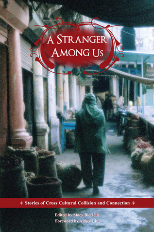 A Stranger Among Us: Stories of Cross Cultural Collision and Connection (Paperback)