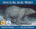 Here Is the Arctic Winter