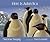 Here is Antarctica