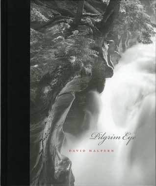 Pilgrim Eye