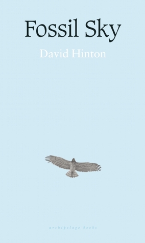 Fossil Sky (Paperback)