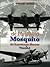 de Havilland Mosquito: An Illustrated History, Volume 1