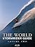 The World Stormrider Guide by Bruce Sutherland