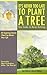 It's Never Too Late to Plant a Tree by Melvin Helitzer