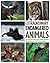 Extraordinary Endangered Animals