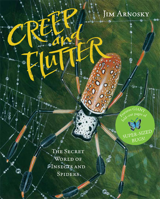 Creep and Flutter: The Secret World of Insects and Spiders (Hardcover)