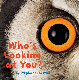 Who's Looking at You? (Nature Lift-the-Flap Books)