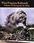 West Virginia Railroads: Volume 2 Chesapeake & Ohio