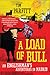 A Load of Bull: An Englishman's Adventures In Madrid